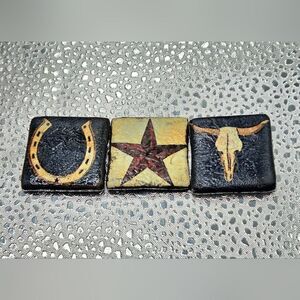 "5/$25" Set Of 3 Handmade Clay Western Fridge Magnets Horse Shoe, Star, Bull